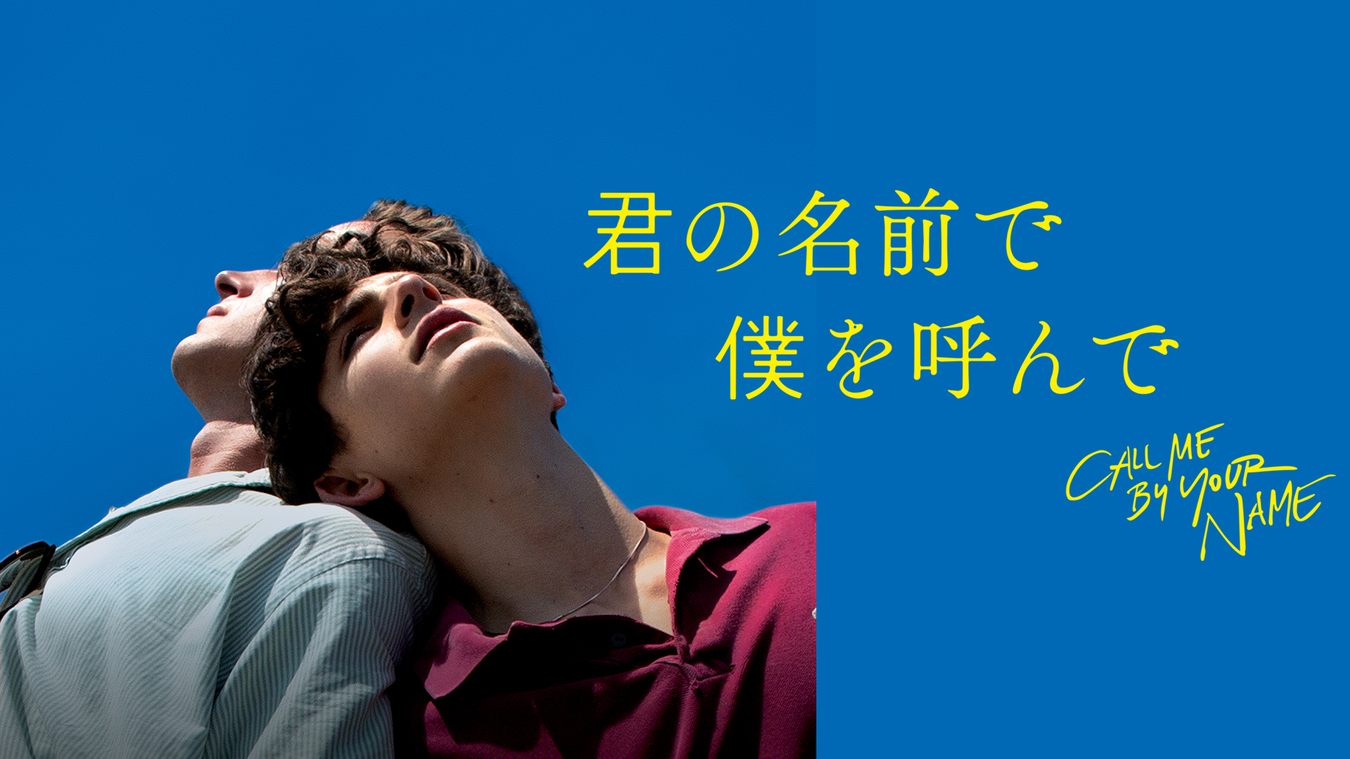 君の名前で僕を呼んで