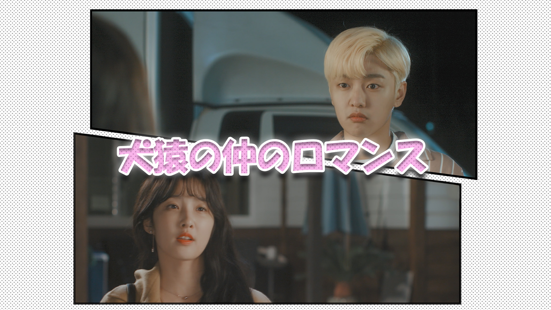 犬猿の仲のロマンス