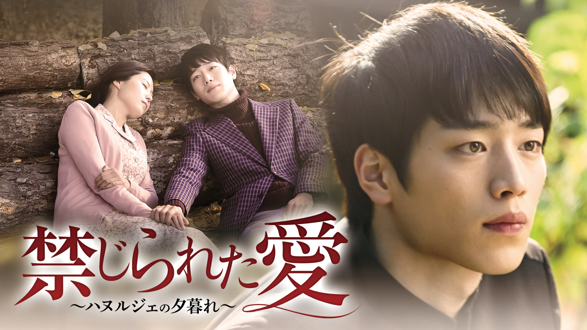 禁じられた愛～ハヌルジェの夕暮れ～
