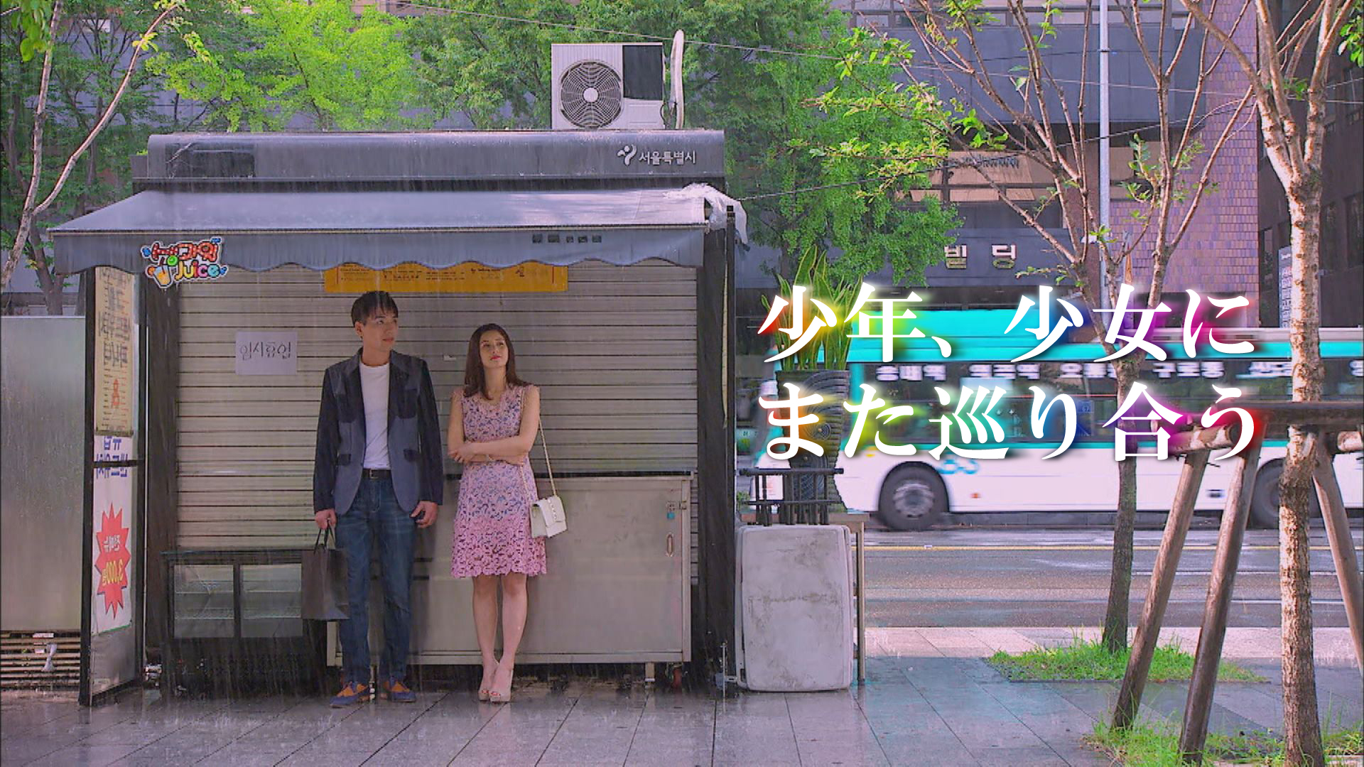 少年、少女にまた巡り会う